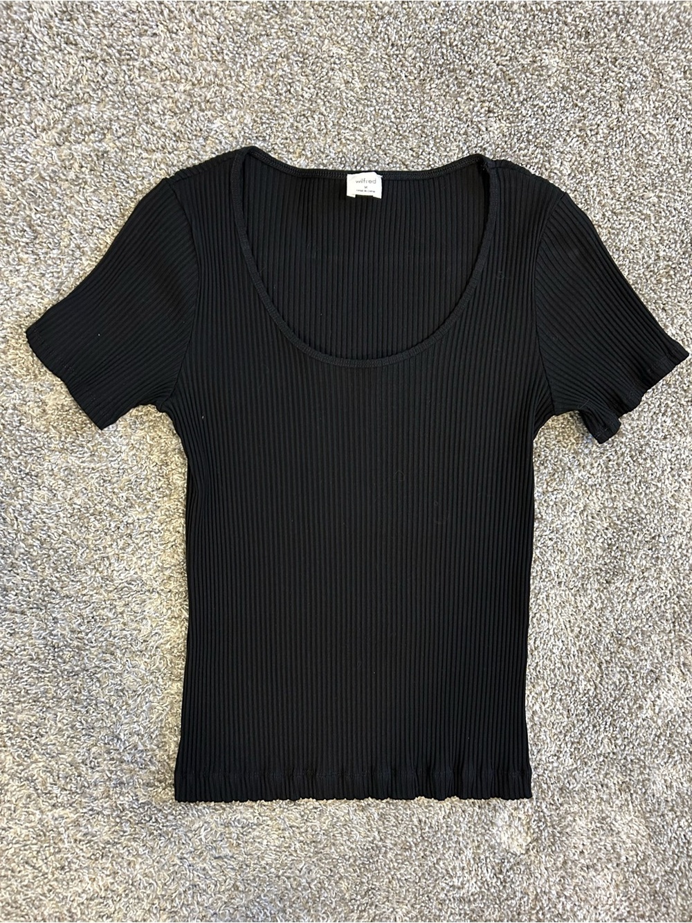Aritzia Wilfred Ribbed Scoop Neck Short Sleeve Top